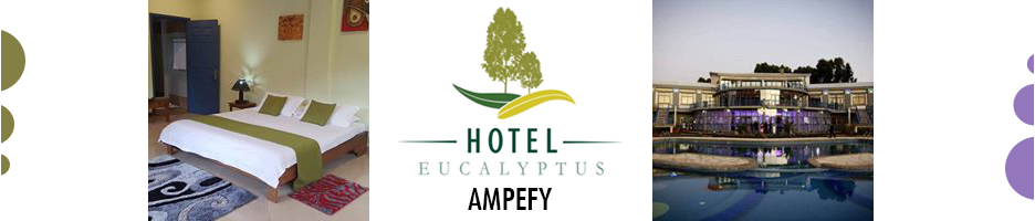 HOTEL EUCALYPTUS