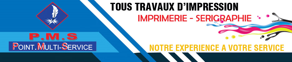 PMS (POINT MULTI SERVICE)