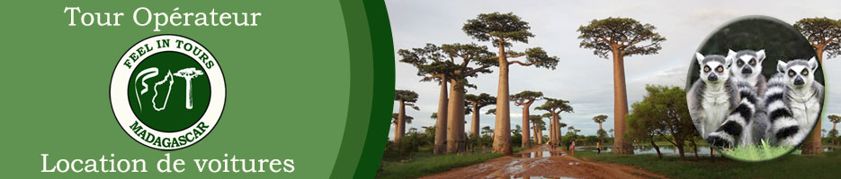 FEEL IN TOURS MADAGASCAR