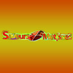Logo SAVEURS METISSES