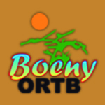 Logo OFFICE REGIONAL DU TOURISME BOENY
