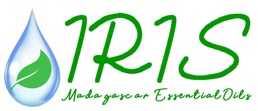 Logo IRIS MADAGASCAR RH