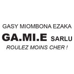 Logo GAMIE