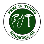 Logo FEEL IN TOURS MADAGASCAR